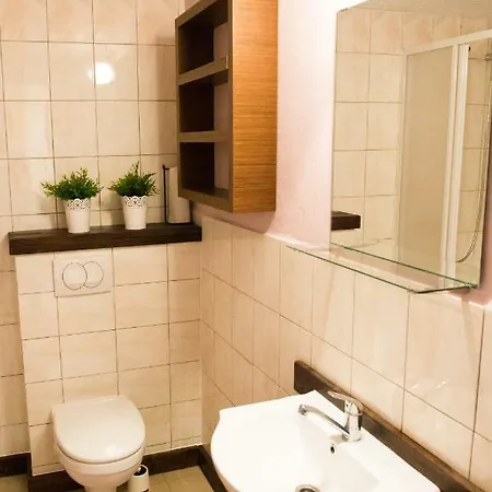 U Bednarzy Apartment Ustrzyki Dolne Exterior photo
