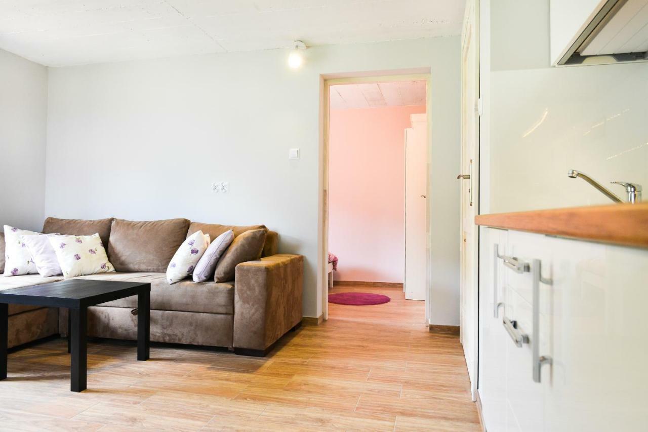 U Bednarzy Apartment Ustrzyki Dolne